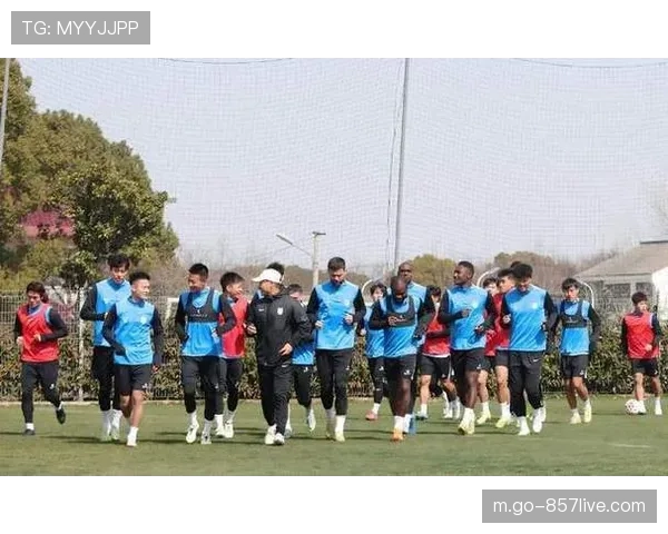 大连英博中场斯坦丘阿利米组合 阿奇姆彭马莱莱双枪配置